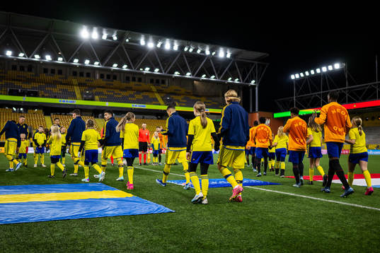 Players of Sweden enter the pitch