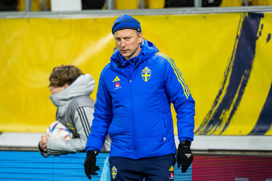 Physio Niklas Egnell of Sweden