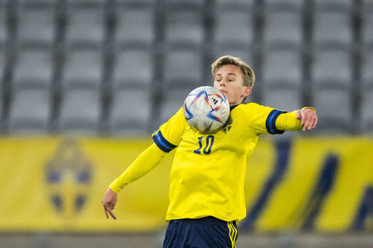 Sveriges Pontus Dahbo
