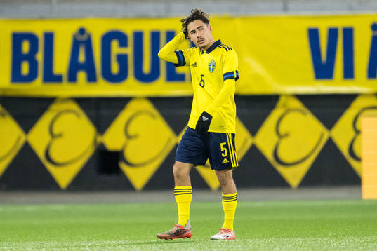 Sveriges Adrian Skogmar deppar