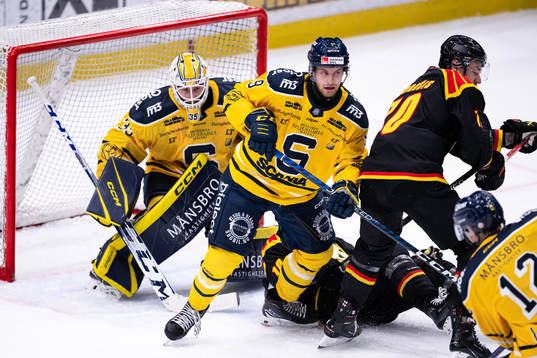 Södertäljes målvakt Tomas Sholl