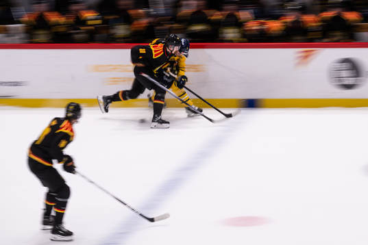 Bläddra bland fler bilder av Ishockey, Hockeyallsvenskan, Brynäs - Södertälje