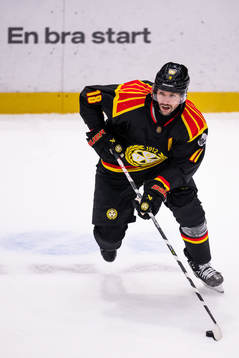 Brynäs Anton Rödin