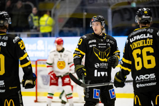 Västerås Isak Skedung