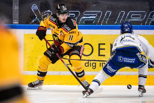 Luleå Hockeys Nikola Pasic