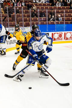 Leksands Justin Glenn Kloos