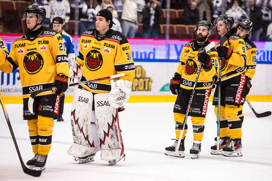 Luleå Hockeys målvakt Matteus Ward deppar
