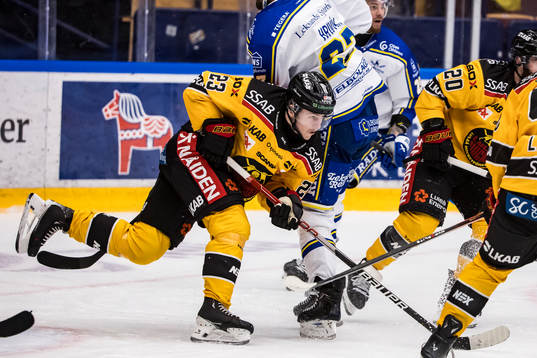 Luleås Jesper Sellgren