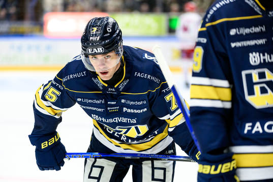 HV71s Radan Lenc deppar