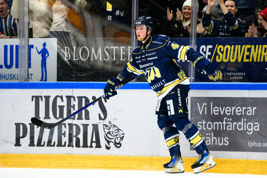 HV71s Oskar Stål-Lyrenäs jublar