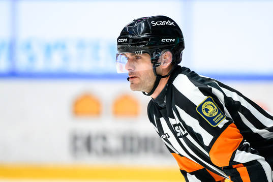 Domare Richard Magnusson