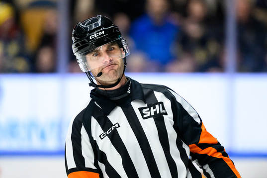 Domare Richard Magnusson