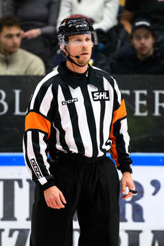 Domare Andreas Harnebring