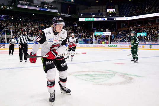 Malmö Redhawks Lauri Pajuniemi