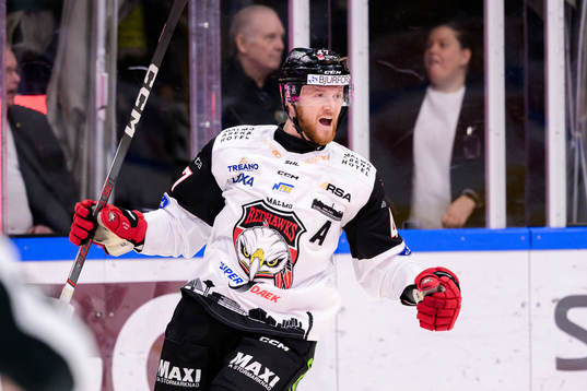 Malmö Redhawks Joakim Ryan