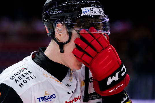 Malmö Redhawks Fredrik Händemark deppar