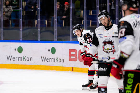 Malmö Redhawks Anton Wahlberg deppar