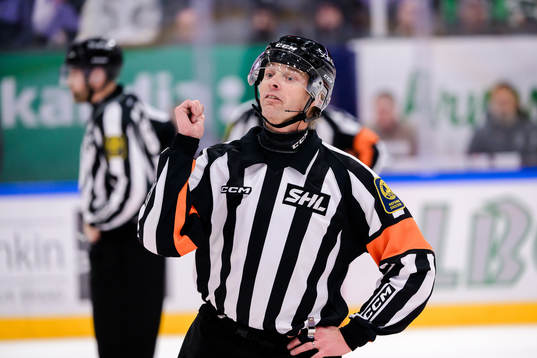 Domare Mikael Andersson