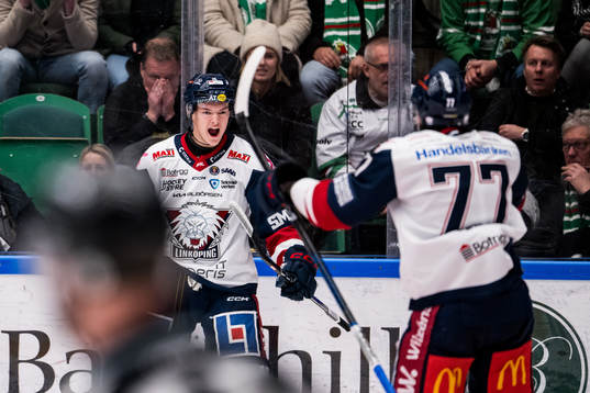 Linköpings Fabian Wagner jublar