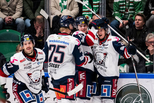 Linköpings Fabian Wagner jublar