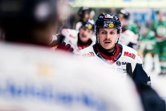 Linköpings Markus Ljungh jublar