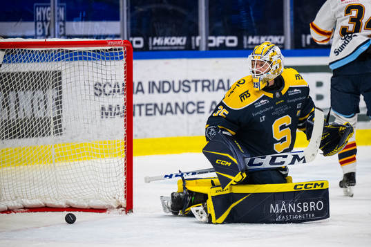 Södertäljes målvakt Tomas Sholl deppar