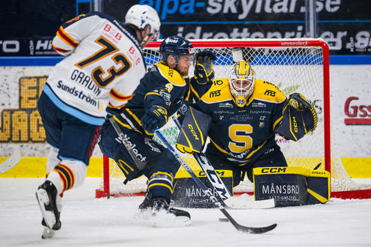 Södertäljes målvakt Tomas Sholl