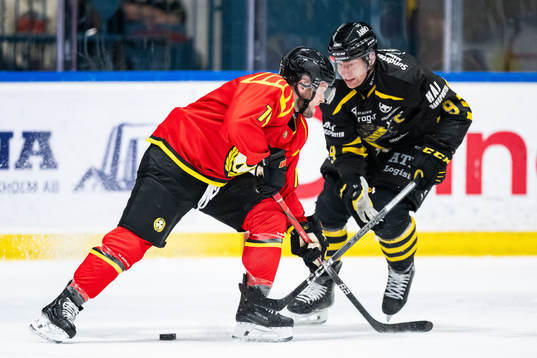 Brynäs Chad Billins och AIKs Richard Gynge