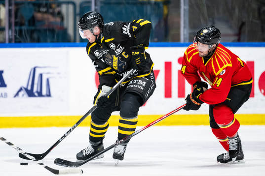 AIKs Richard Gynge och Brynäs Chad Billins