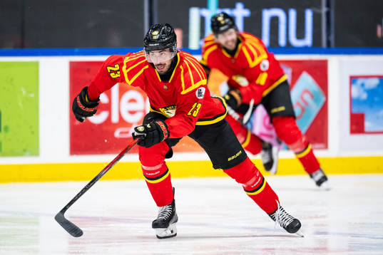 Brynäs Tyler Vesel