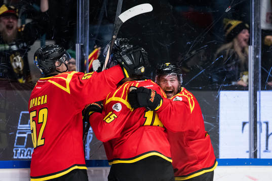 Brynäs Johan Larsson jublar