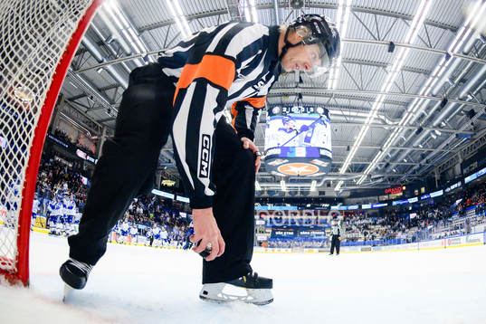 Domare Mikael Andersson