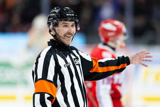 Domare Linus Öhlund