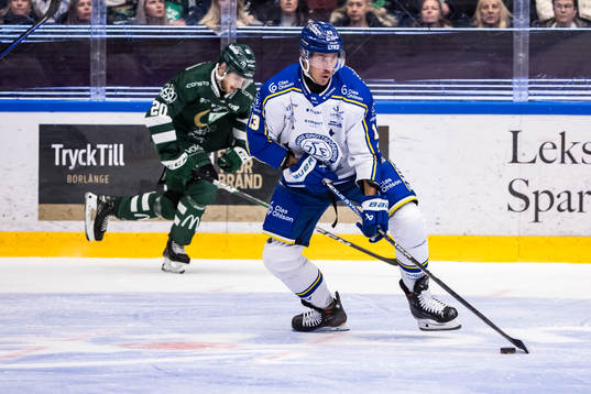 Leksands Jon Knuts