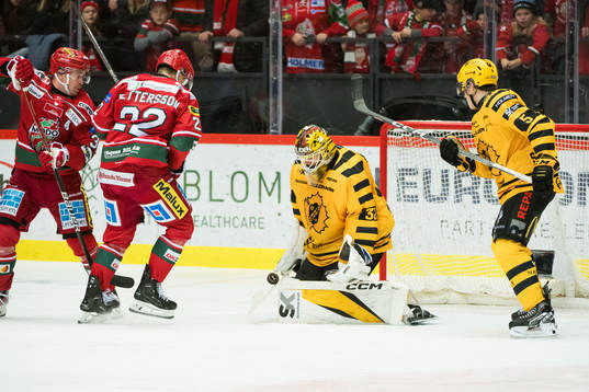 Skellefteås målvakt Linus Söderström