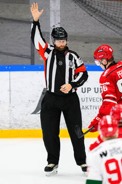 Domare Mikael Johansson