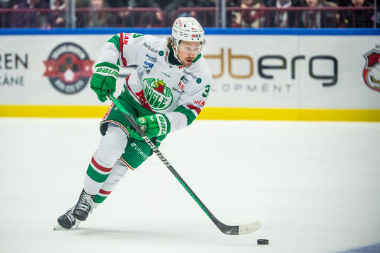 Rögles Michael Kapla