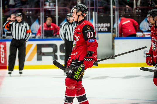Malmö Redhawks Fredrik Händemark deppar
