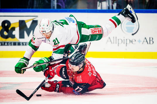 Bläddra bland fler bilder av Ishockey, SHL, Malmö Redhawks - Rögle