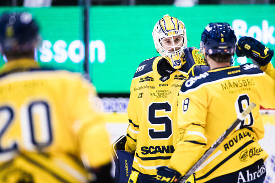 Södertäljes målvakt Tomas Sholl jublar med Viktor Grahn