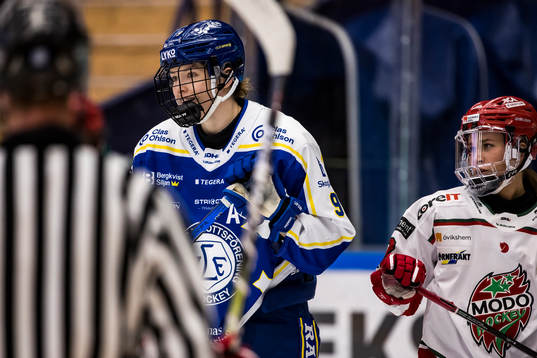 Leksands Lore Baudrit
