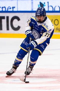 Leksands Tereza Radova