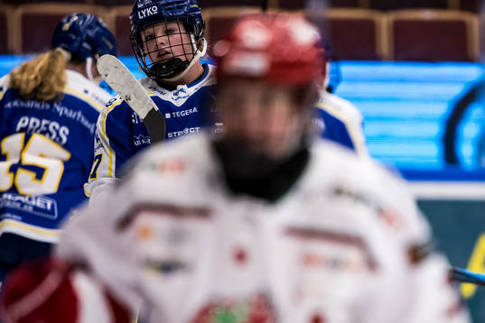 Leksands Shay Maloney deppar