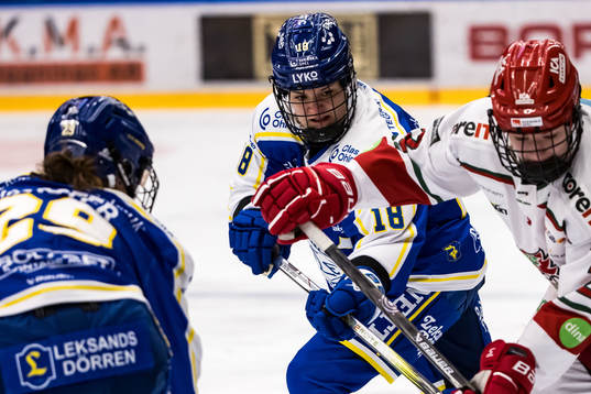 Leksands Saga Tynell-Nissas