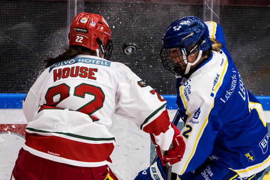 Leksands Taylor Leech