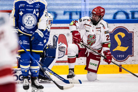 Modos Ebba Hedqvist