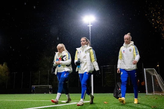 Goalkeeper Emma Holmgren , Kosovare Asllani and Caroline