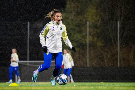 Johanna Rytting Kaneryd