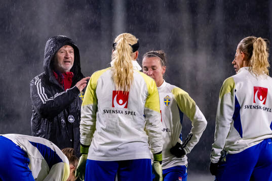 Head coach Peter Gerhardsson