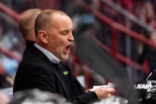 Luleås tränare Thomas Berglund nder ishockeymatchen i SHL